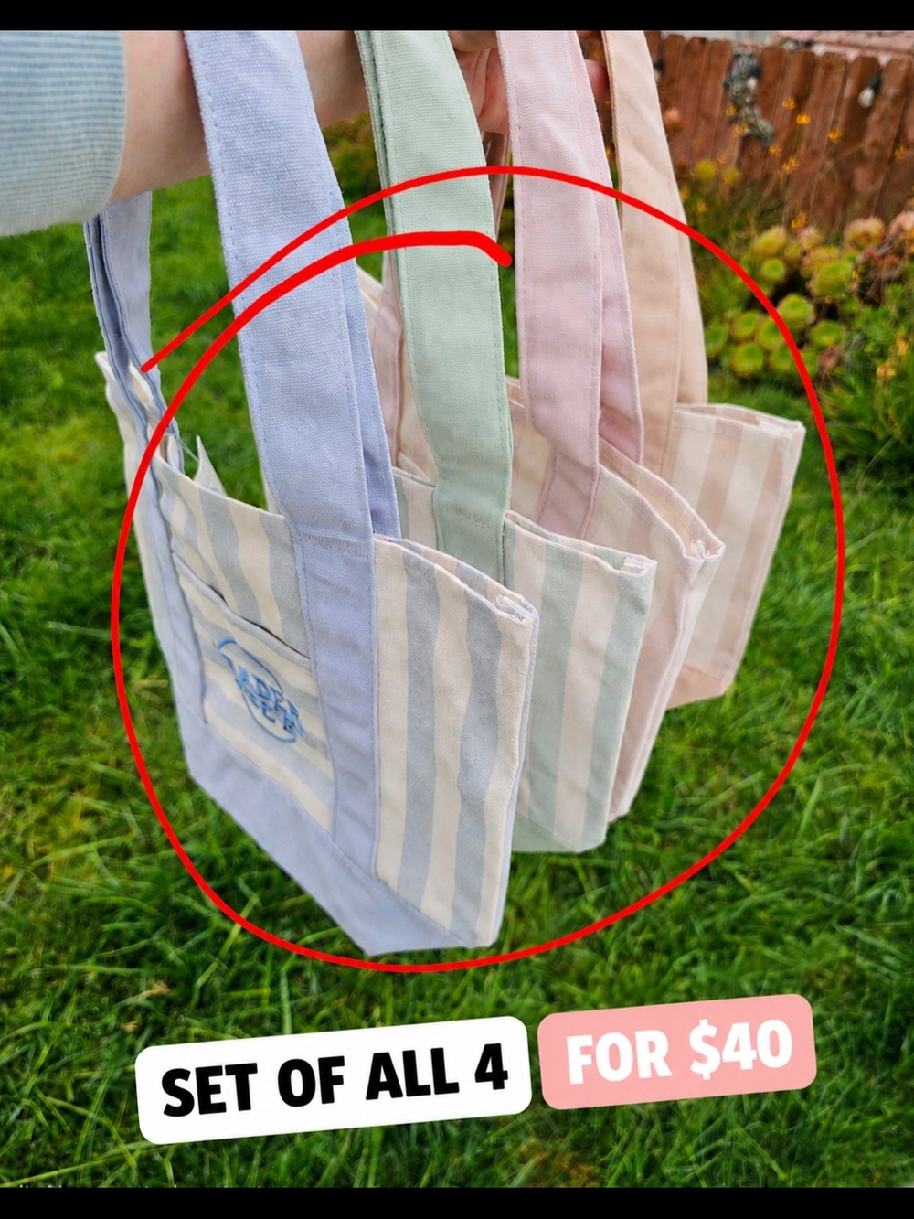Trader Joe's Striped Mini Tote Set